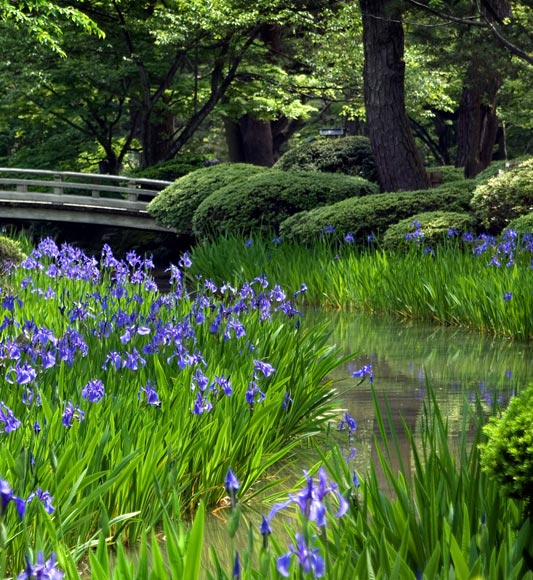 Kenroku-en Japanese Garden in Kanazawa