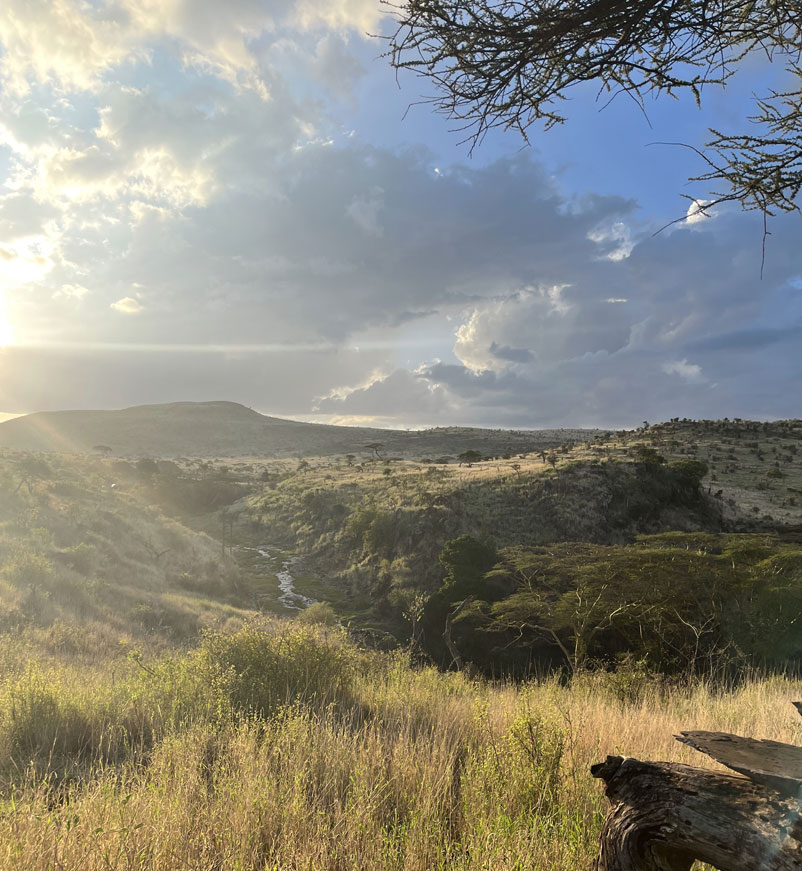View at Lewa Wilderness in Kenya