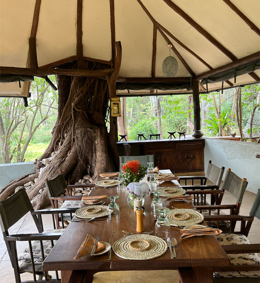 Dining at Kitich Forest Camp in Kenya