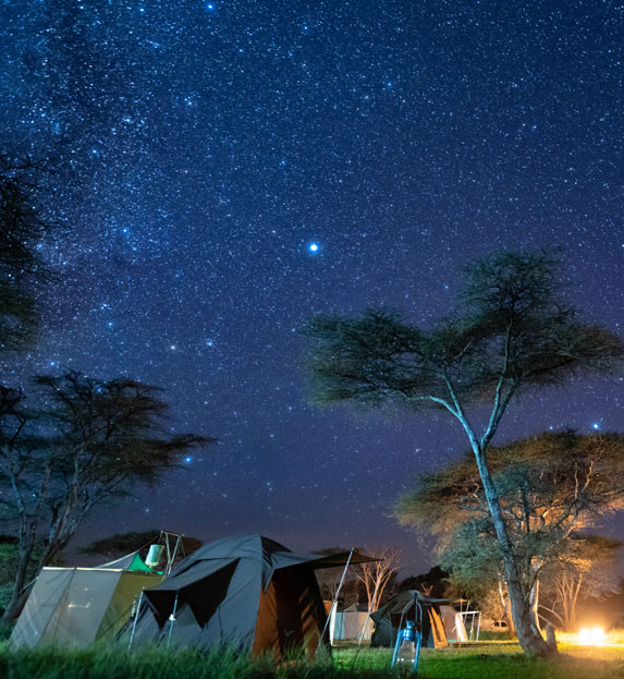 Starlit Serengeti walking camp in Tanzania at night