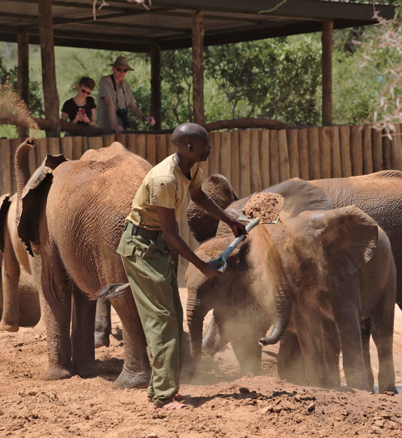 Reteti Elephant Sanctuary in Kenya