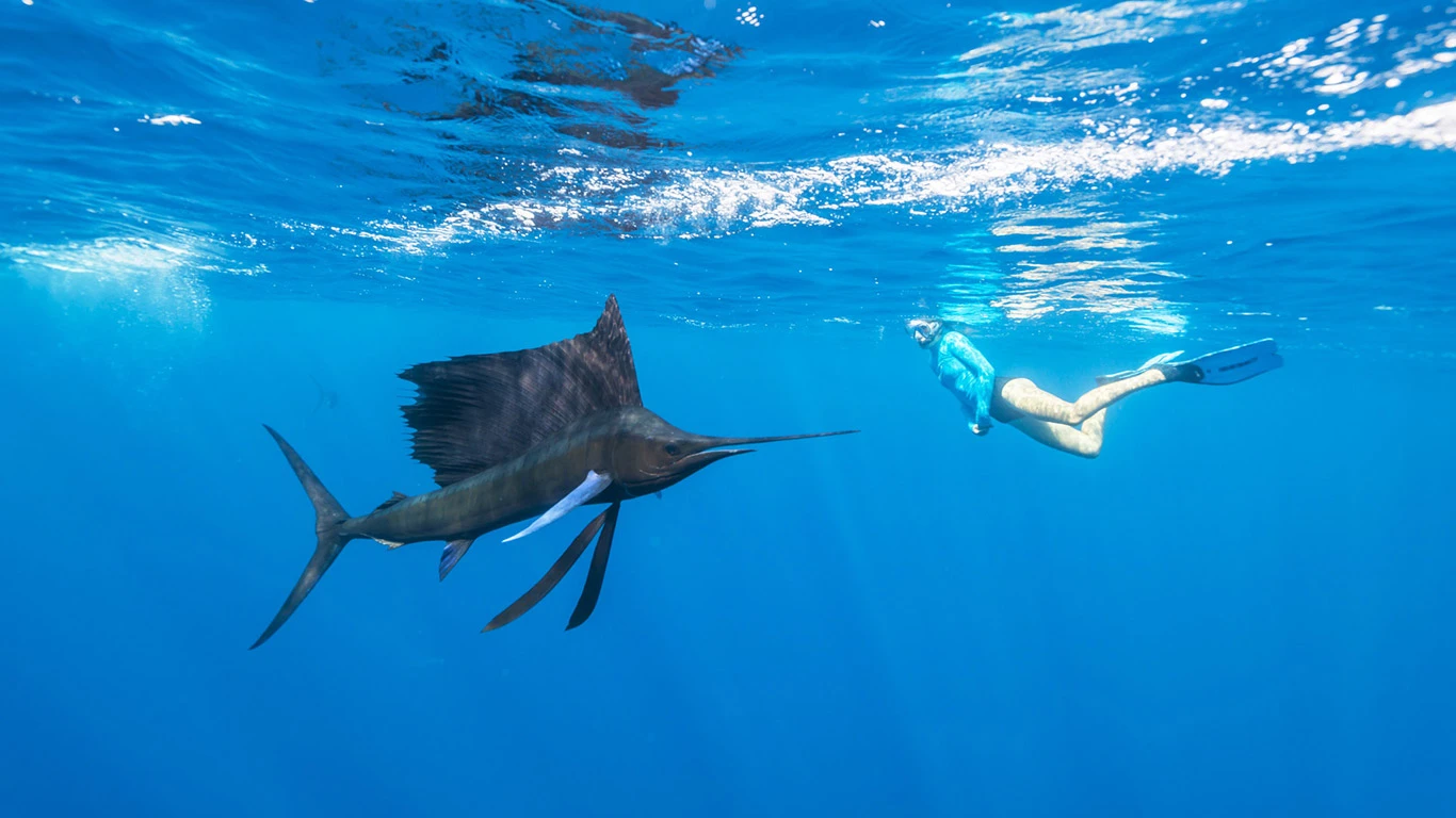 Snorkelling in Alphonse Island in the Seychelles