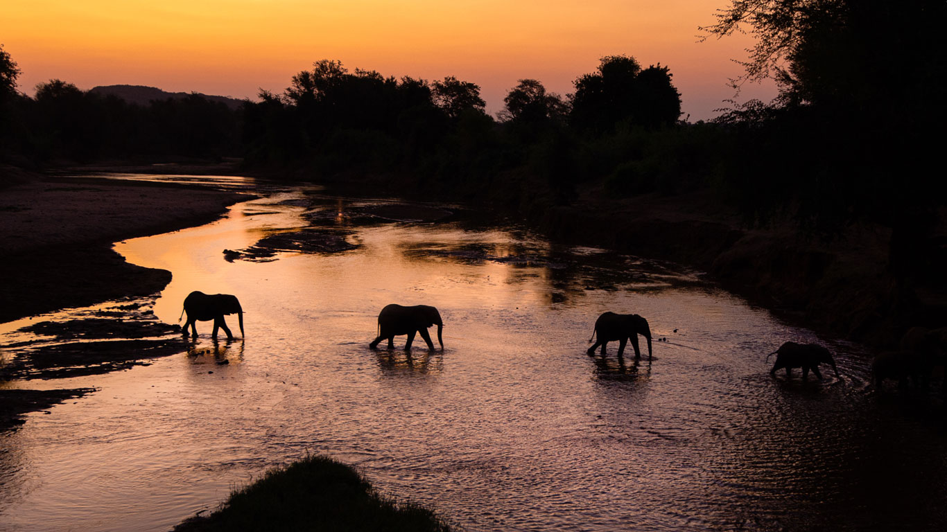 Elephants crossing river in Pafuri in South Africa