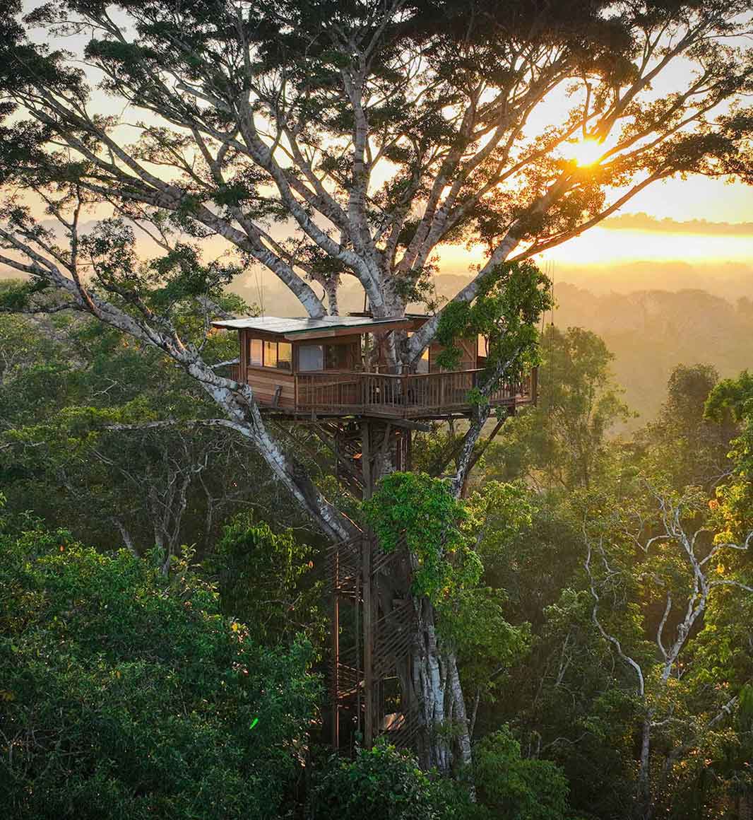 Alta Sanctuary luxury treehouse in Peruvian Amazon