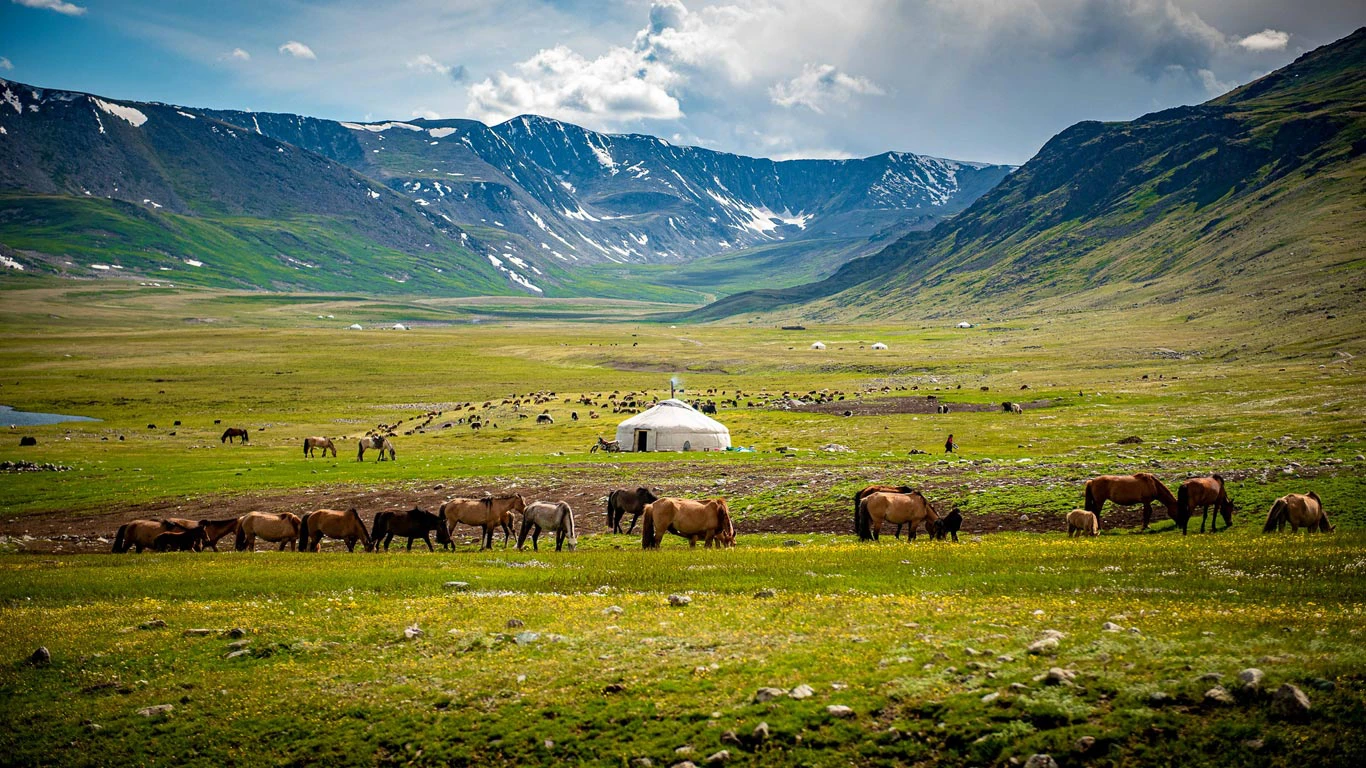 Mongolia landscape with horses
