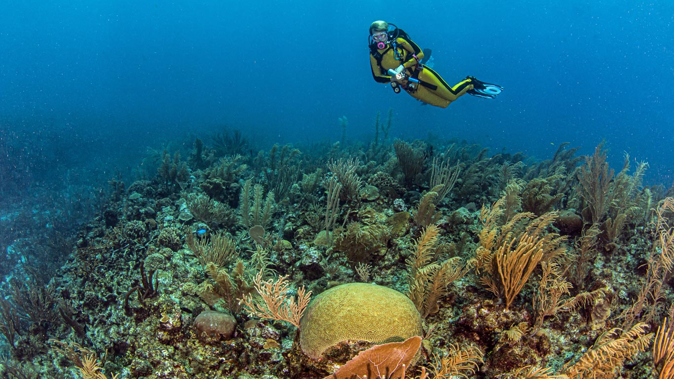 Reef diving in Belize