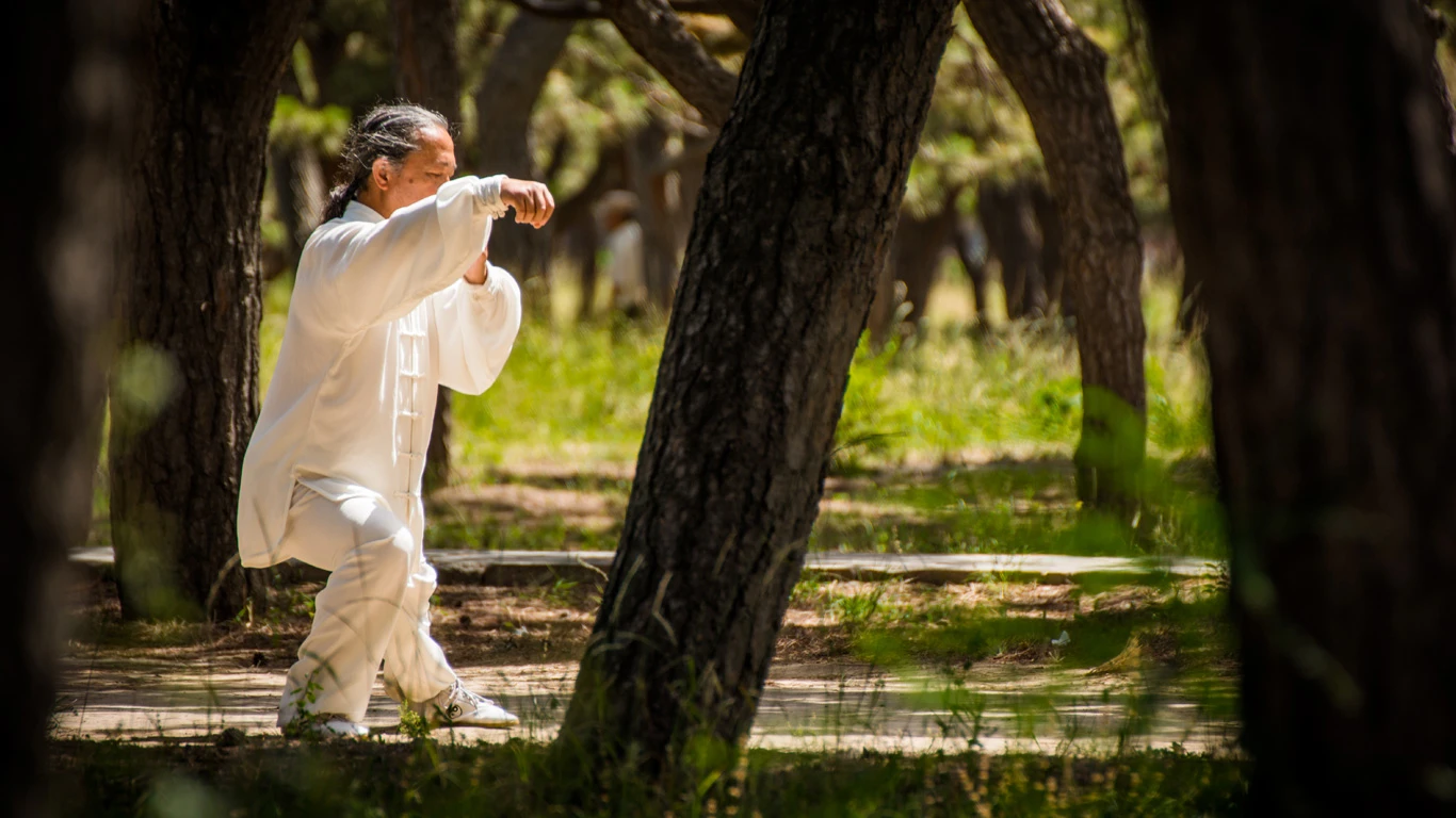 Private Tiaji class in the Temple of Heaven in Beijing