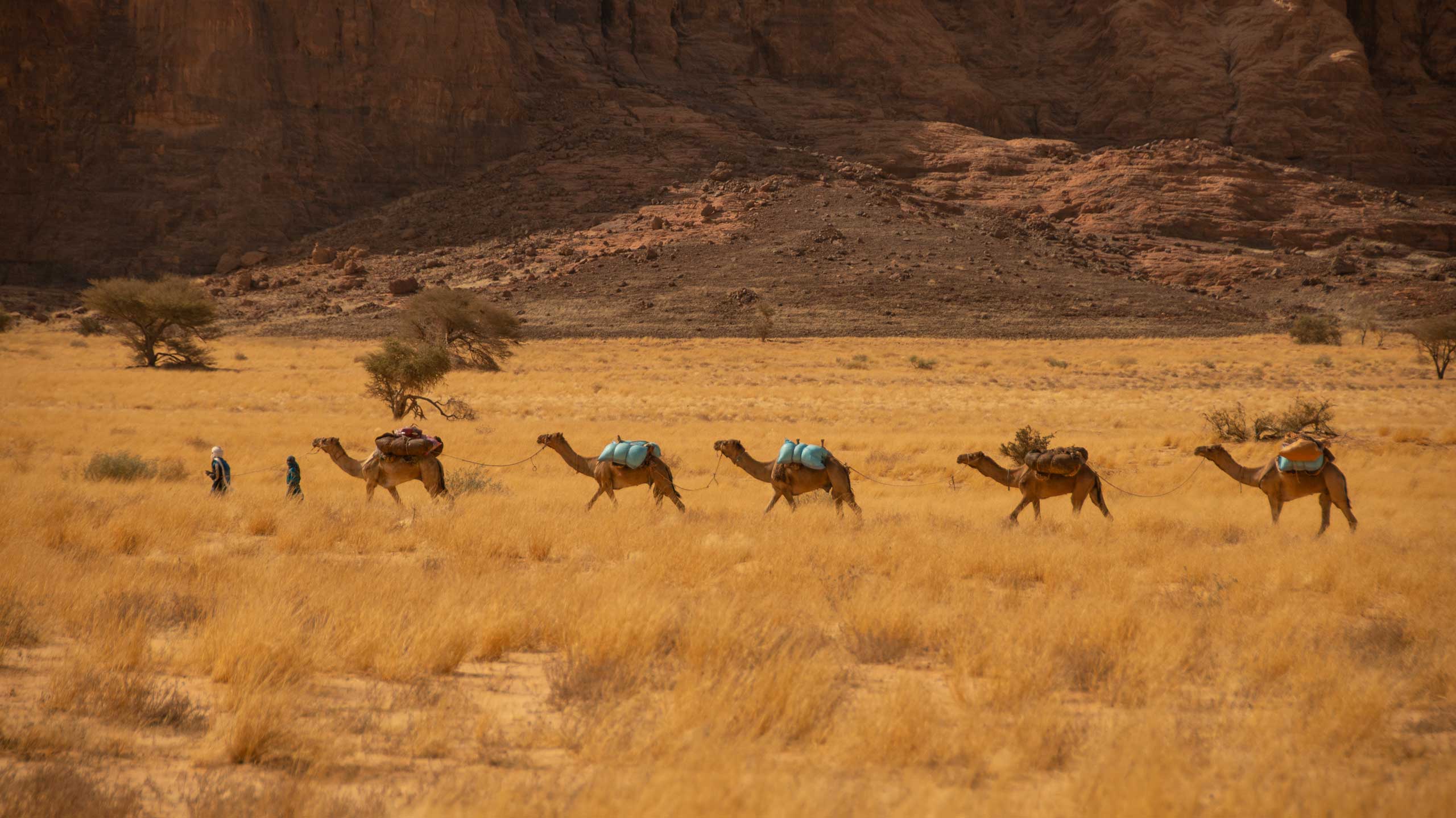 Camel trekking in the Ennedi Desert in Chad