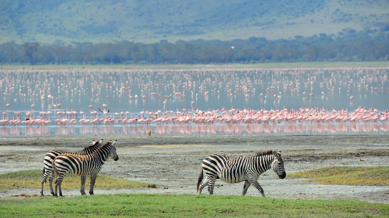Ngorongoro Crater in Tanzania