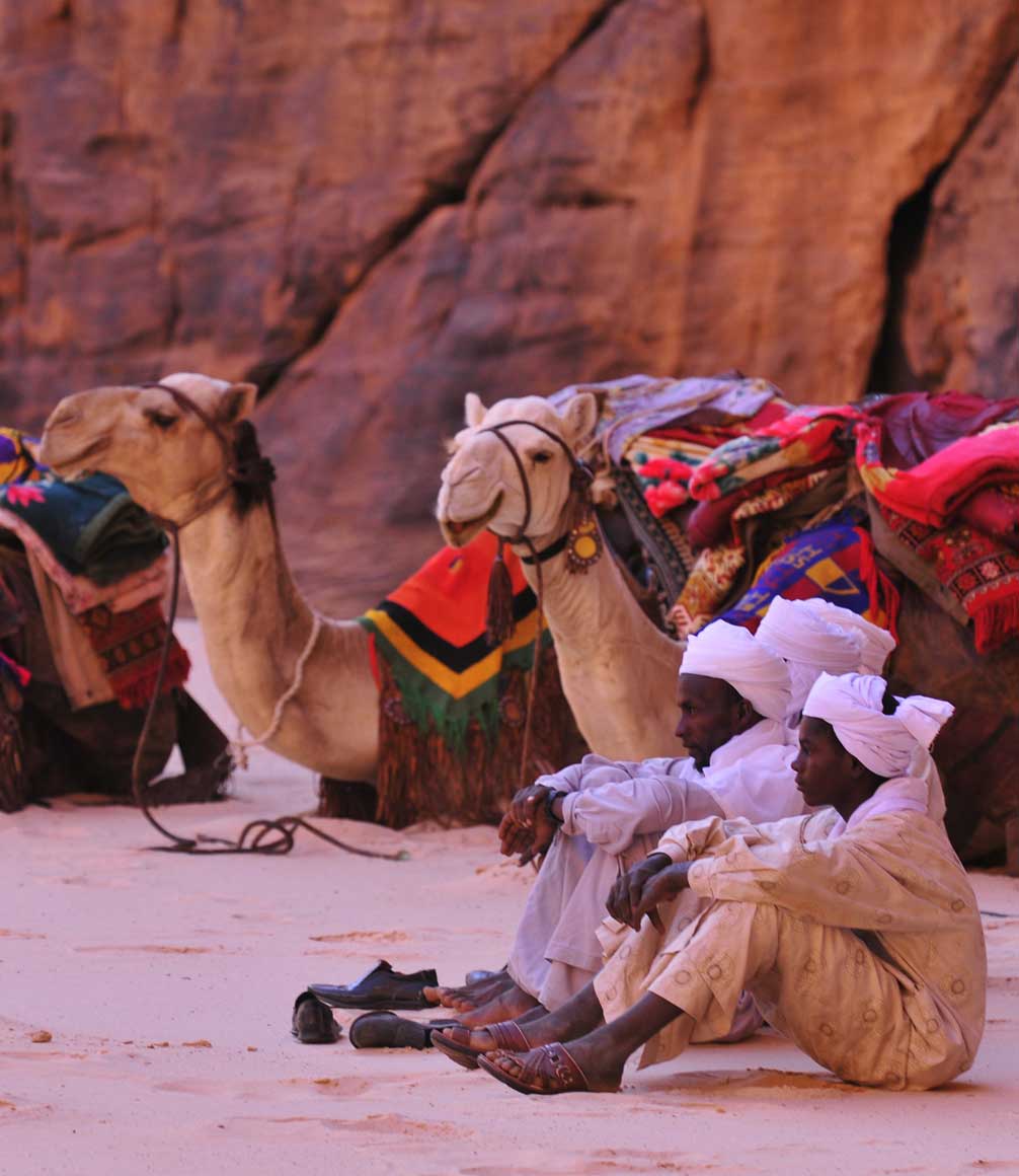 Camels and nomads in desert in Chad