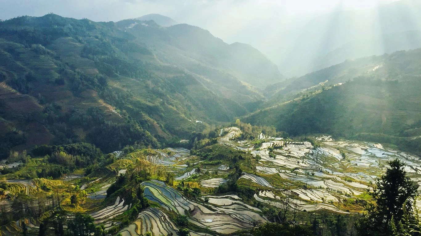 Yunnan rice terraces in China