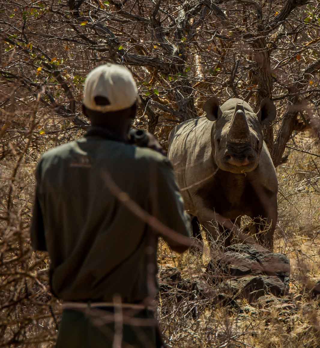 Tracking rhino in Namibia