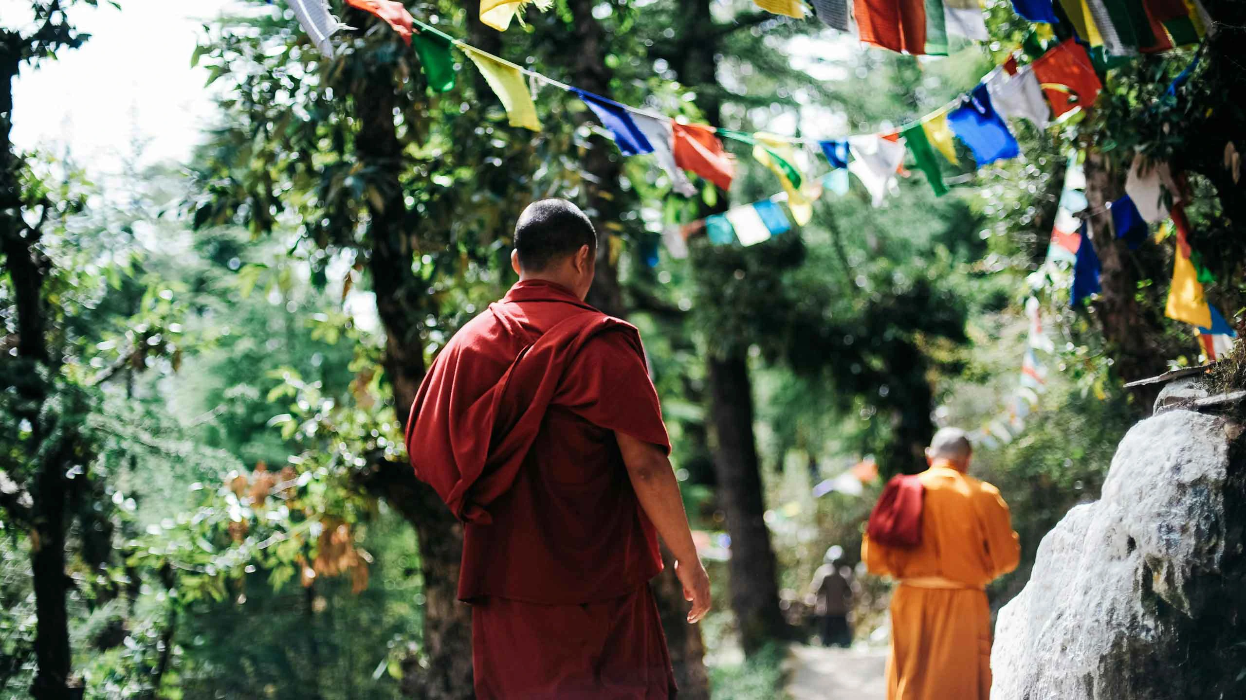 Shaolins in India
