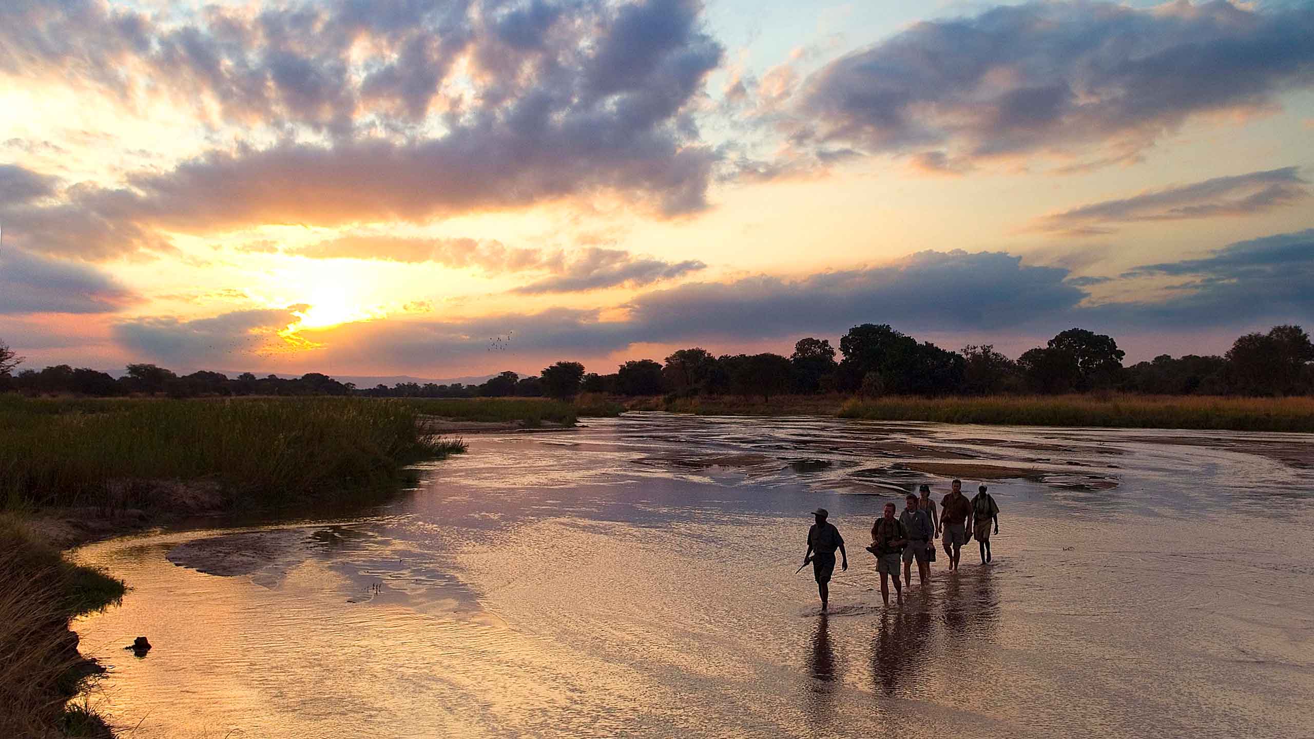 Walking safari in Zambia