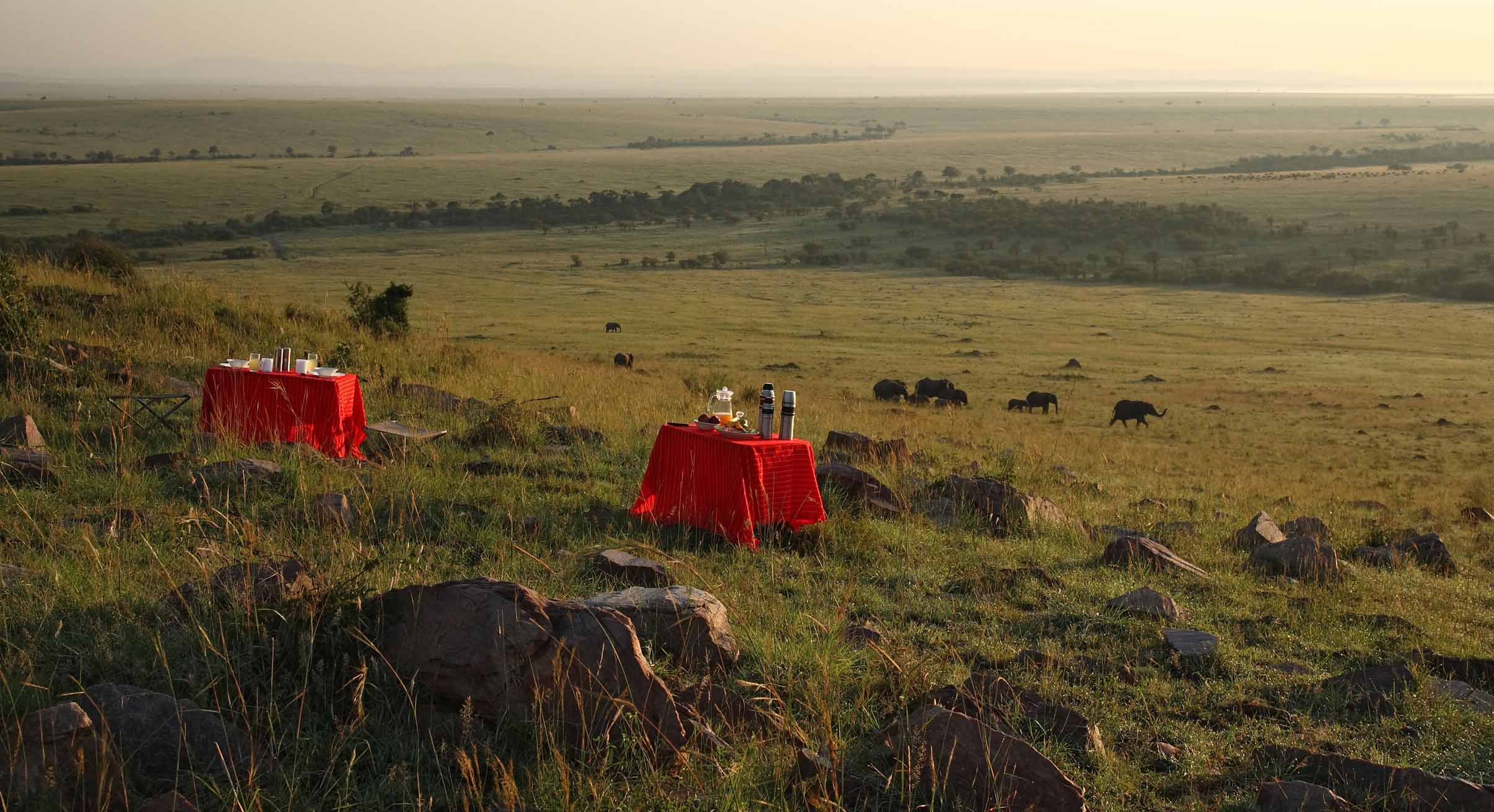 Bush breakfast in Masai Mara, Kenya