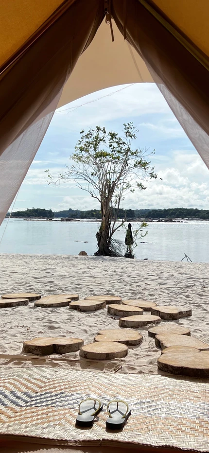 View from tent in Lower Rionegro, Amazon