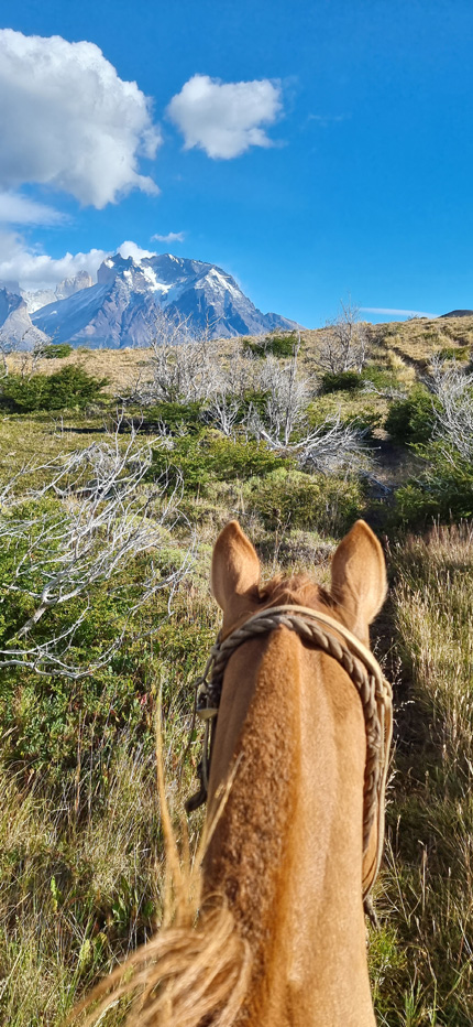 Between horses ears on a riding trek in Patagonia, Chile