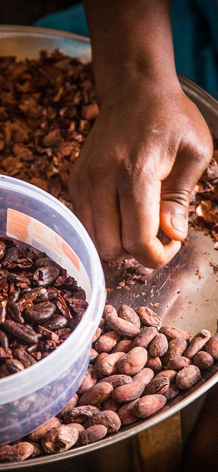 Cacao beans in Sao Tome