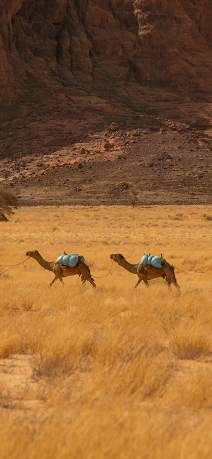 Camel trekking in the Ennedi Desert in Chad