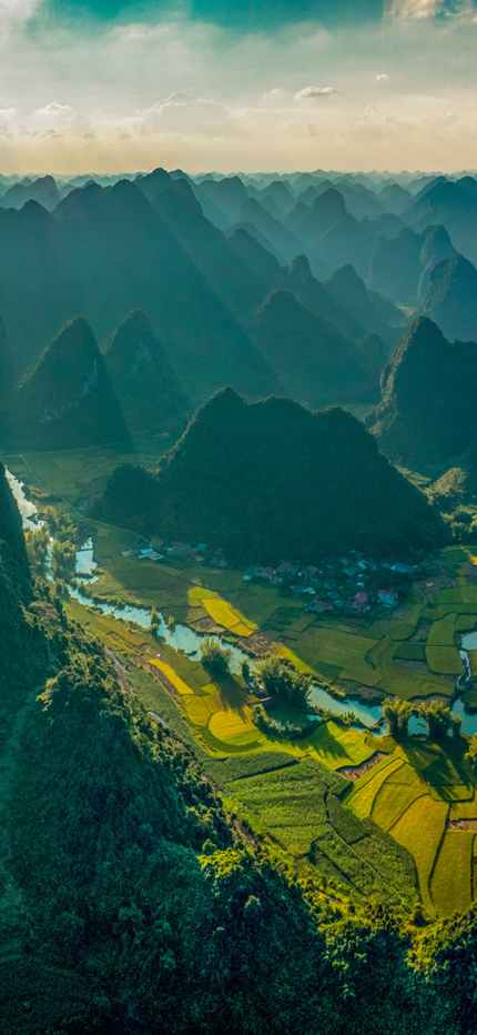 Rice terrace fields in Trung Khanh in Cao Bang province in Vietnam