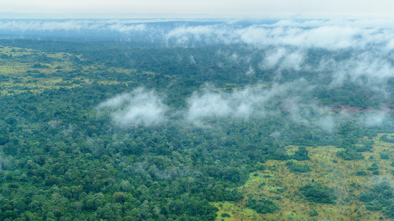 Misty Odzala National Park in Republic of Congo