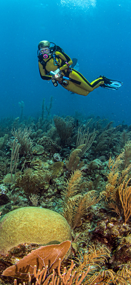 Reef diving in Belize