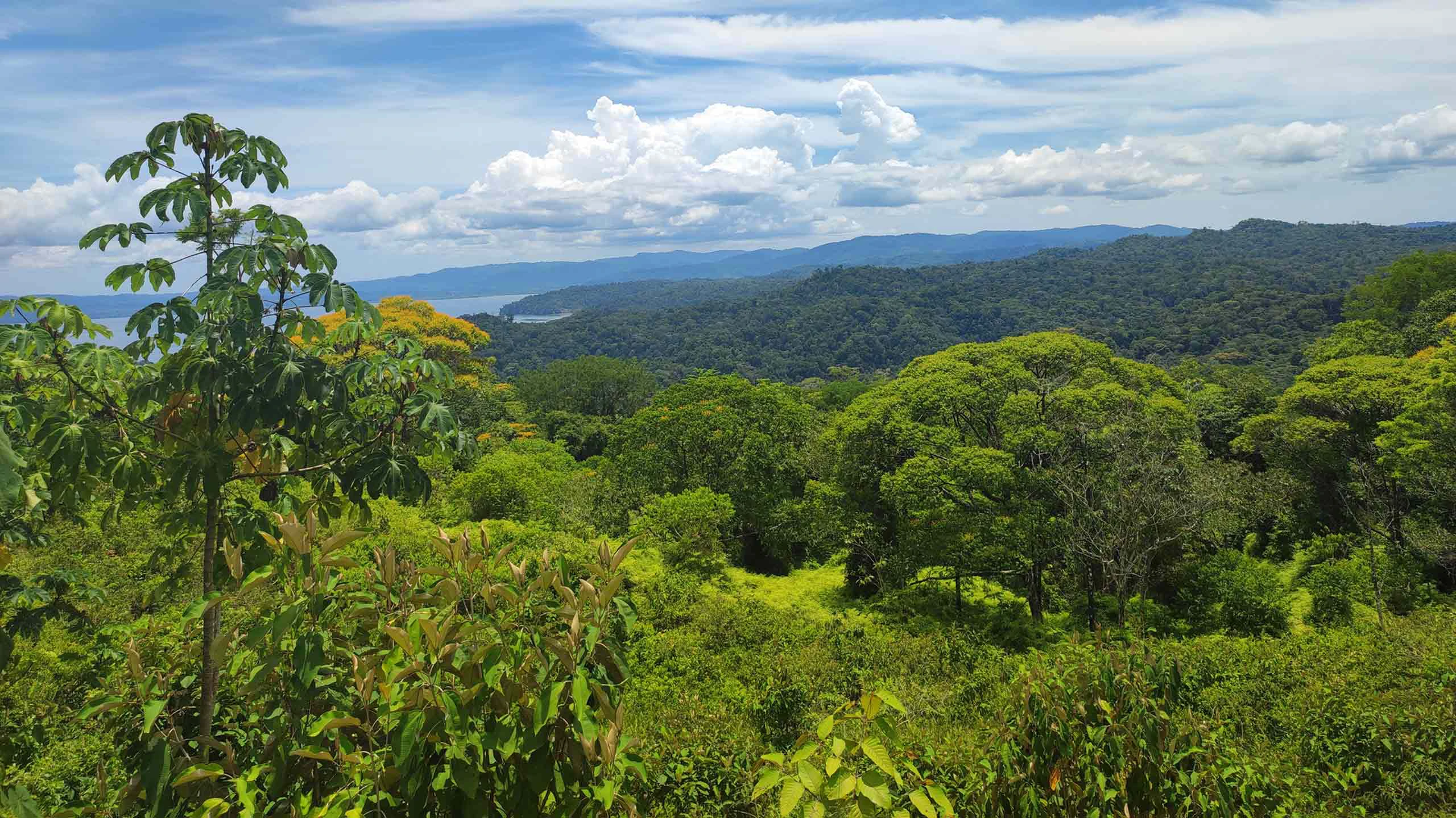 Golfo Dolce in Costa Rica