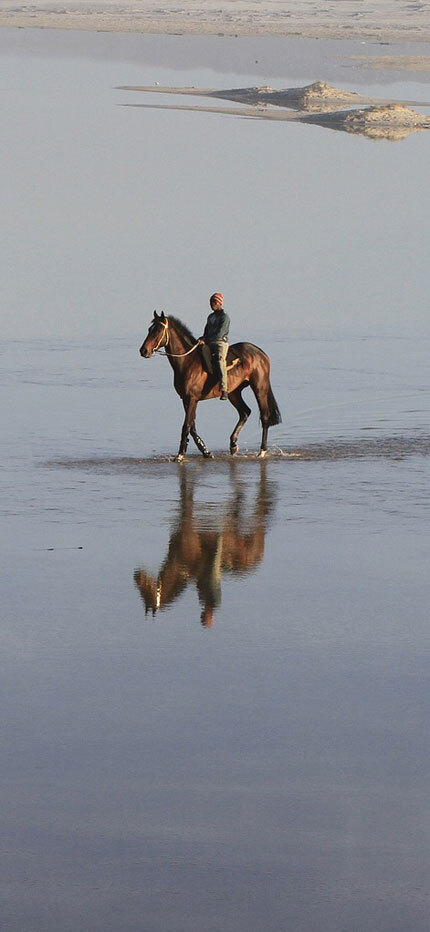 horse-riding-beach-south-africa