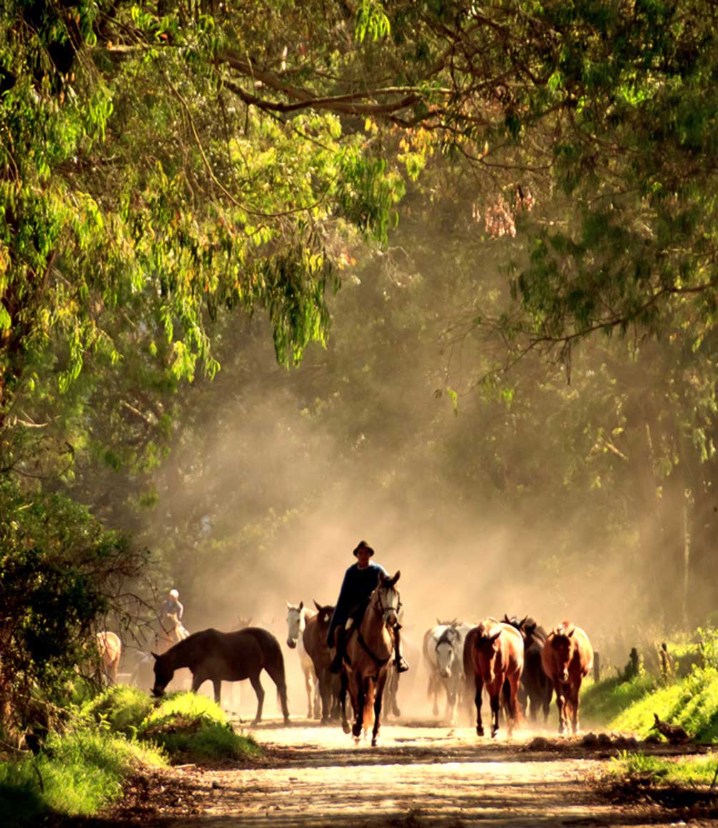 Horse riding at Hacienda Zuleta in Ecuador