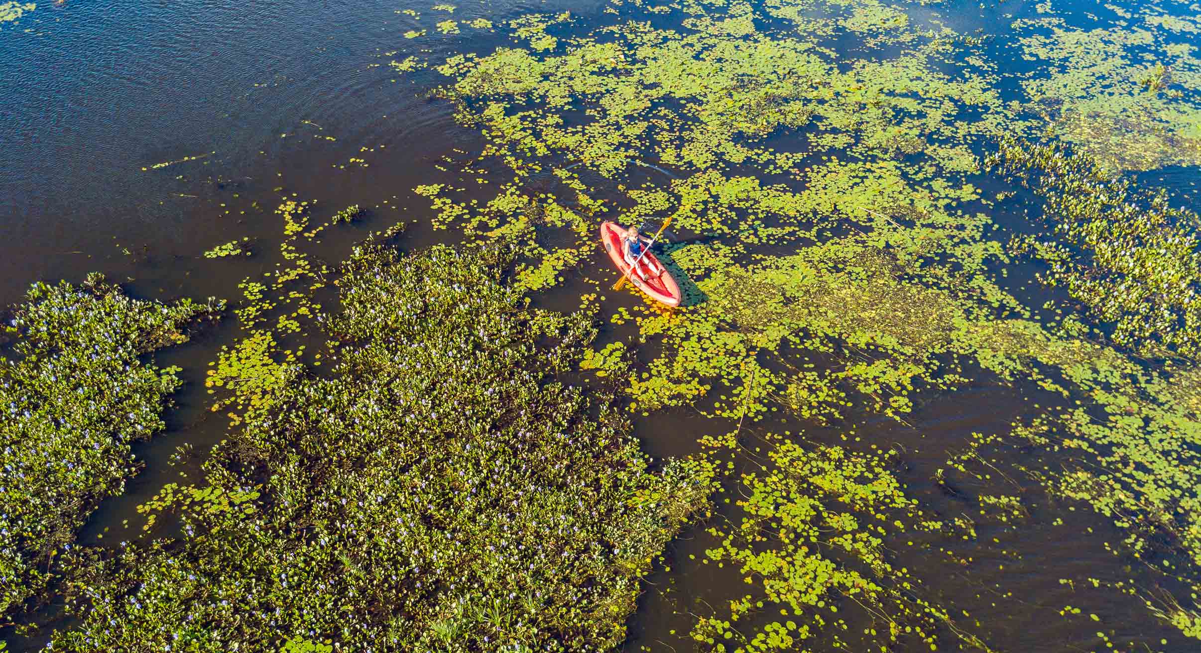 Kayaking in the Ibera Wetlands in Argentina