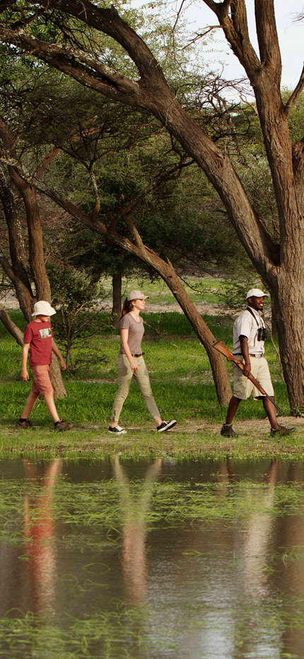 Classic family safari walking in Botswana