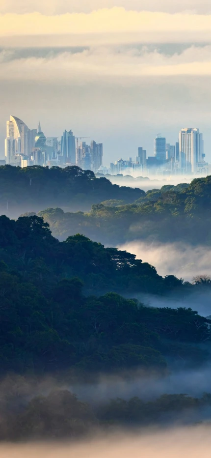 View of Panama City and surrounding rainforest