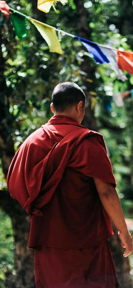 Shaolin in India