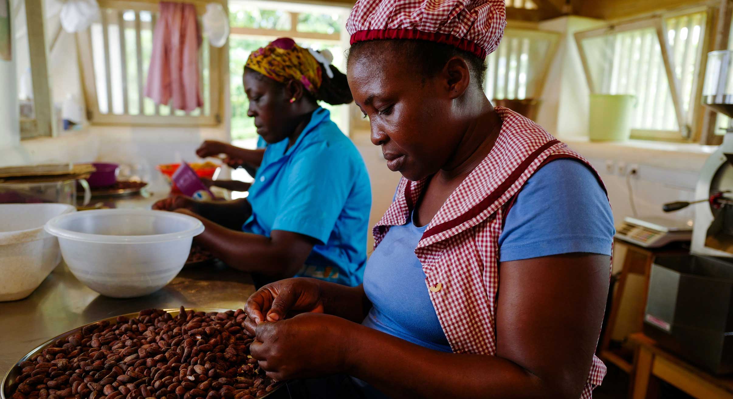 Podding cacao in Sao Tome