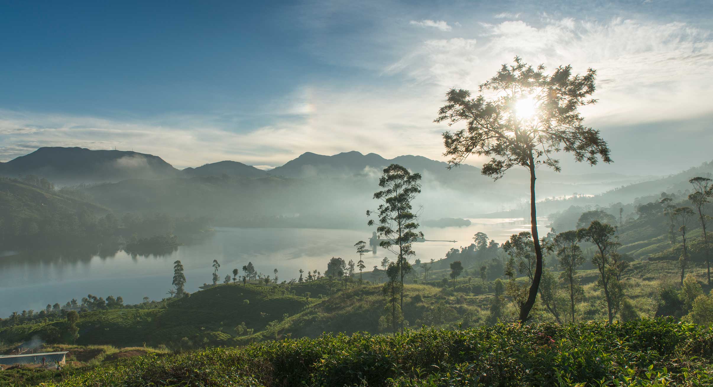 Hatton tea trails in Sri Lanka