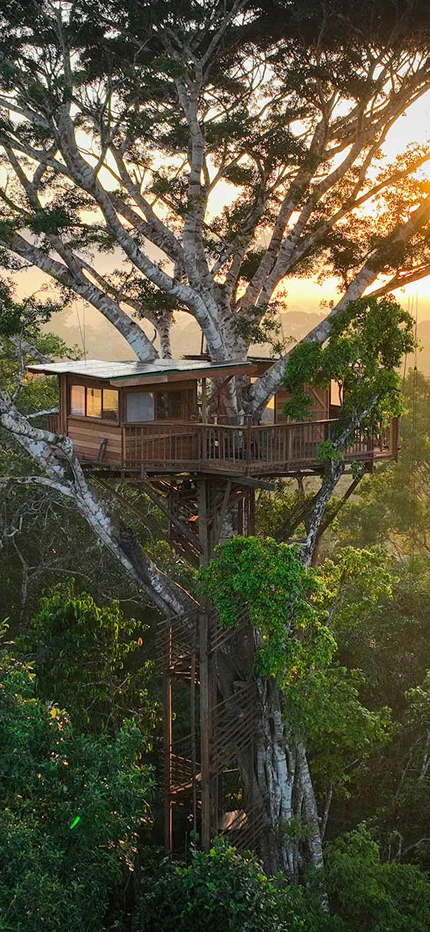 Alta Sanctuary luxury treehouse in Peruvian Amazon