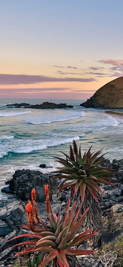 View of the Wild Coast in South Africa