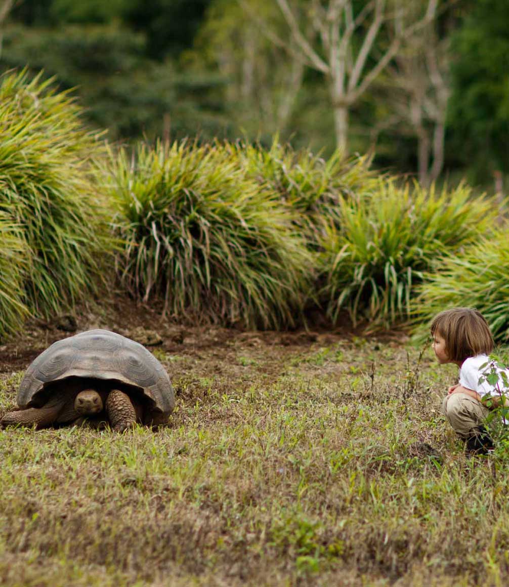 Child with giant tortoise on Santa Cruz in Galapagos