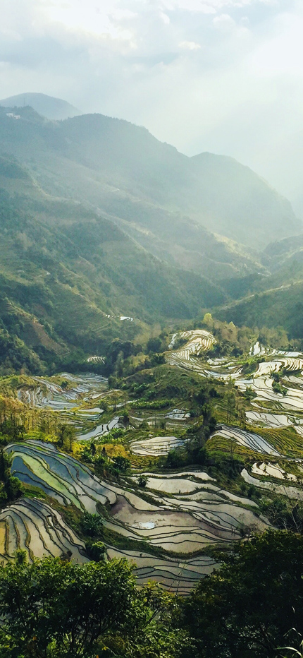 Yunnan rice terraces in China
