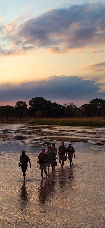 Zambia walking safari at sunset