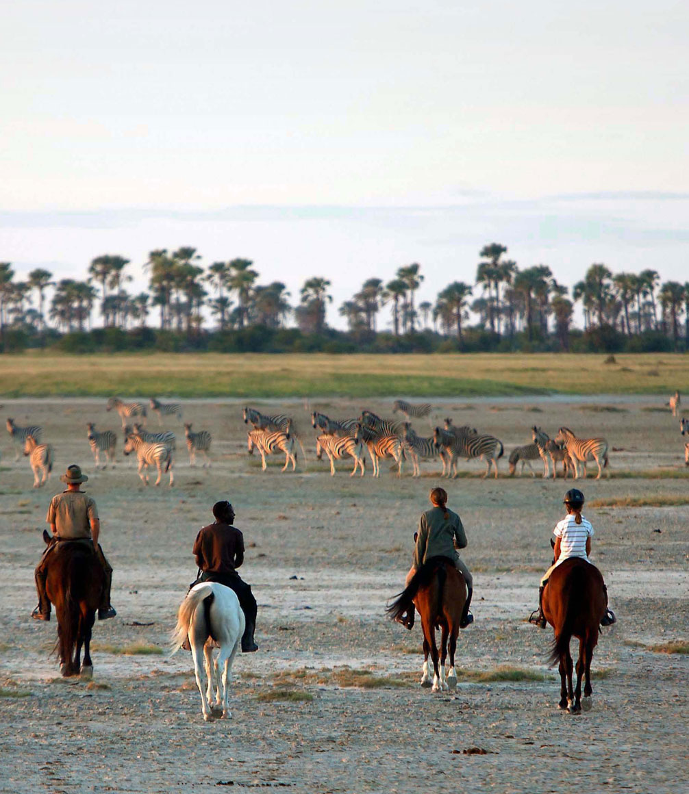 Horse safari in Mkgadikgadi Pans in Botswana