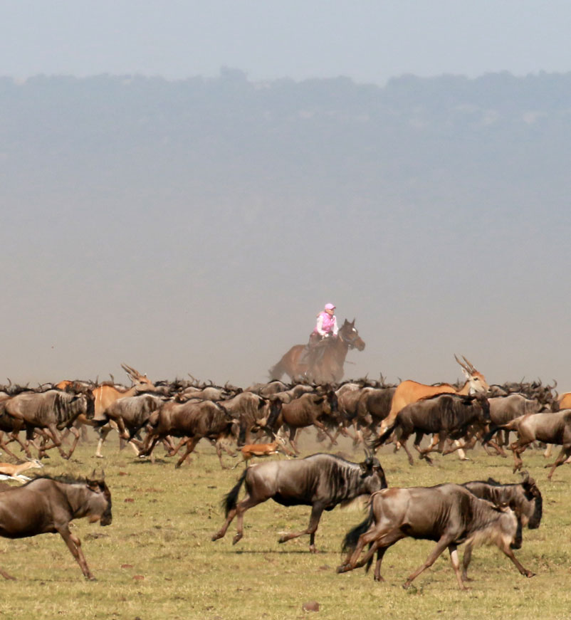 Riding with the Great Migration in Kenya