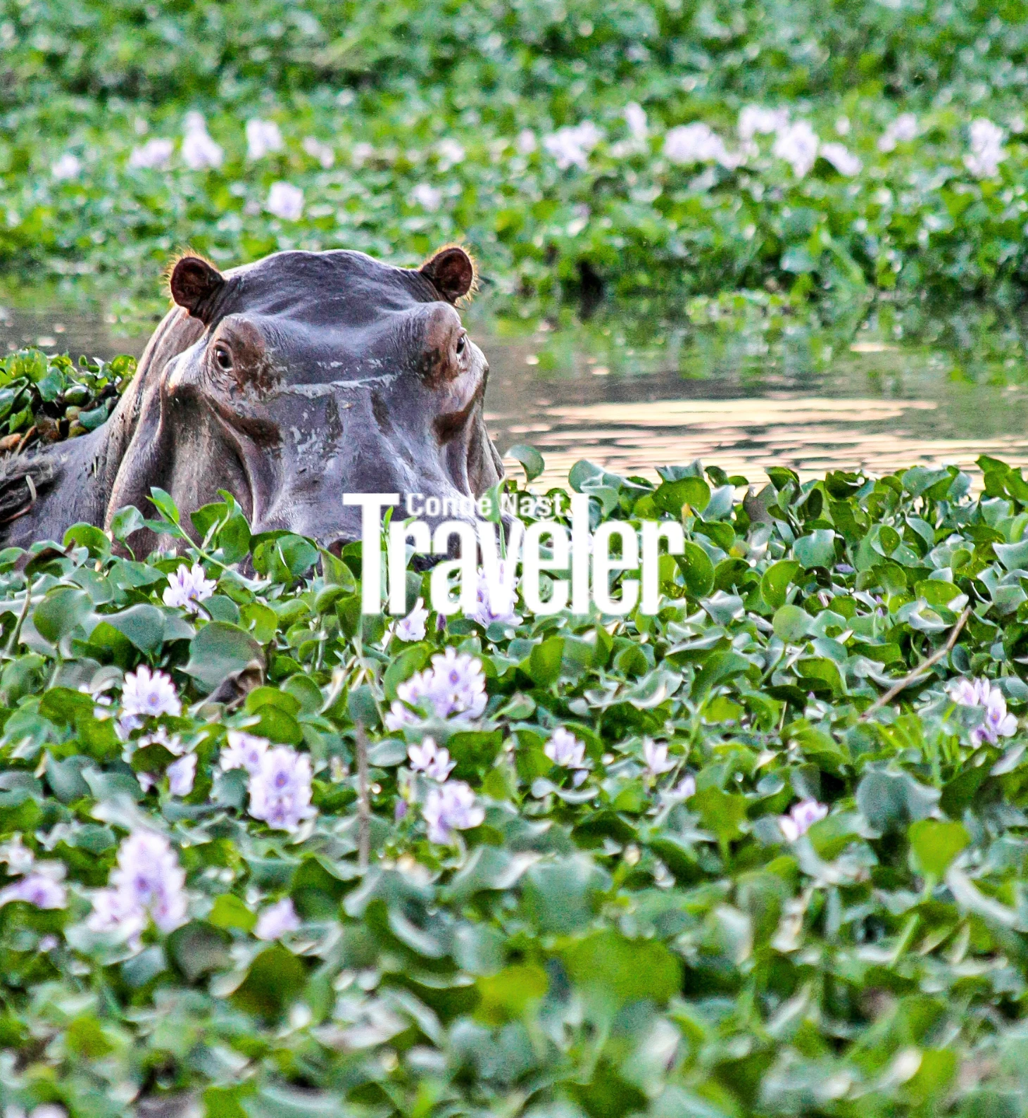 Conde Nast Traveler Press Page