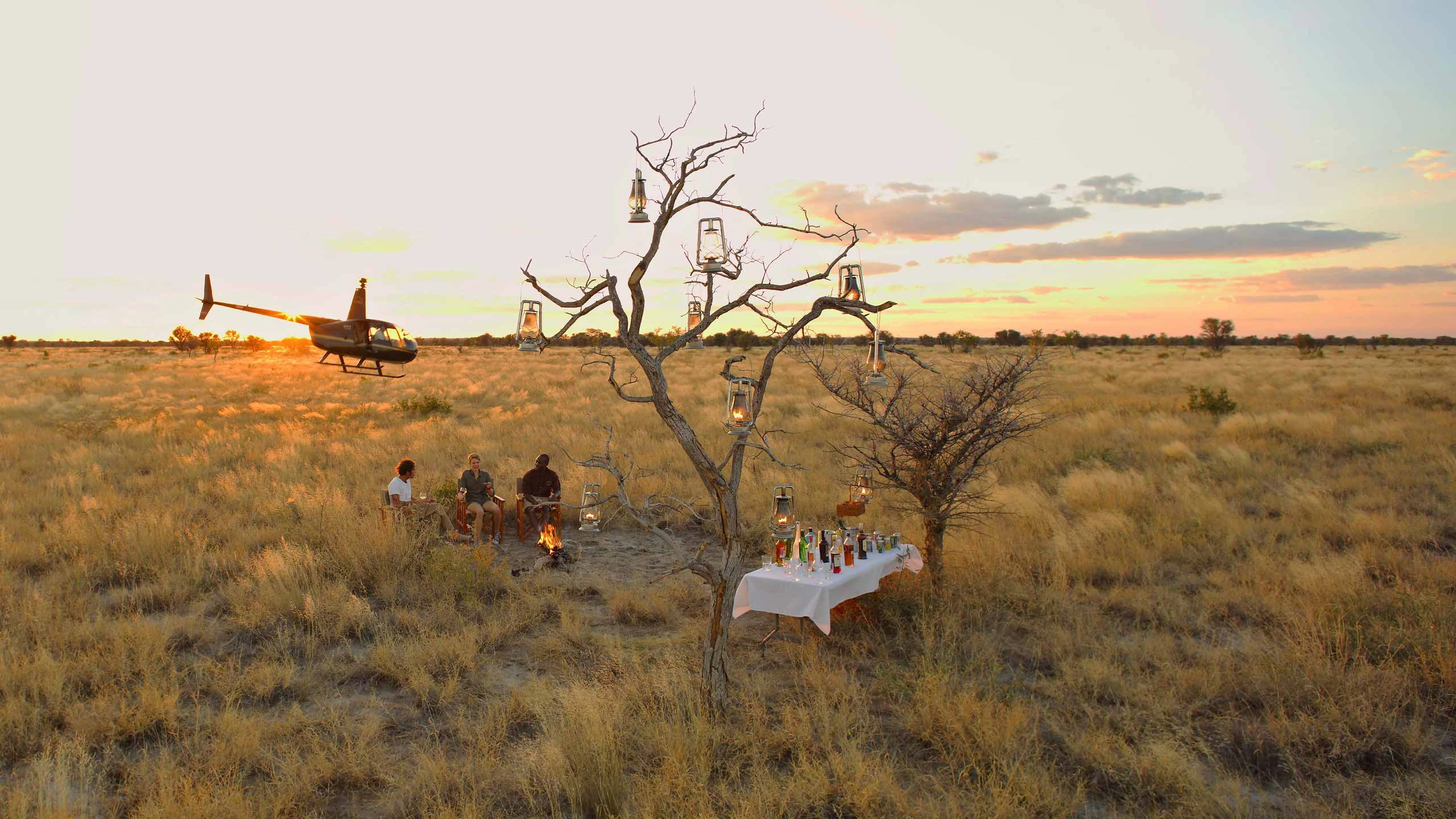 Luxury African safari