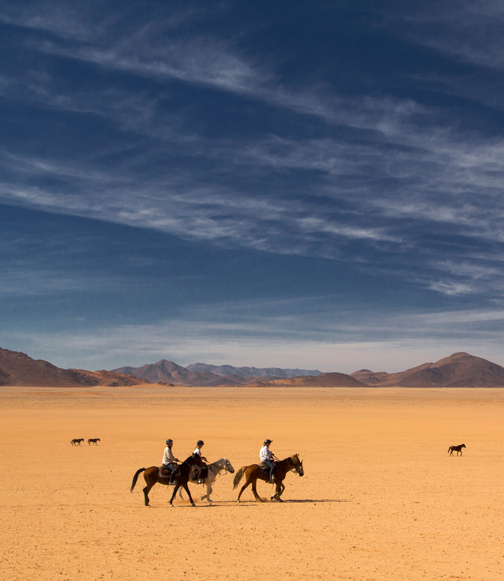 Riding safari in Namib Desert