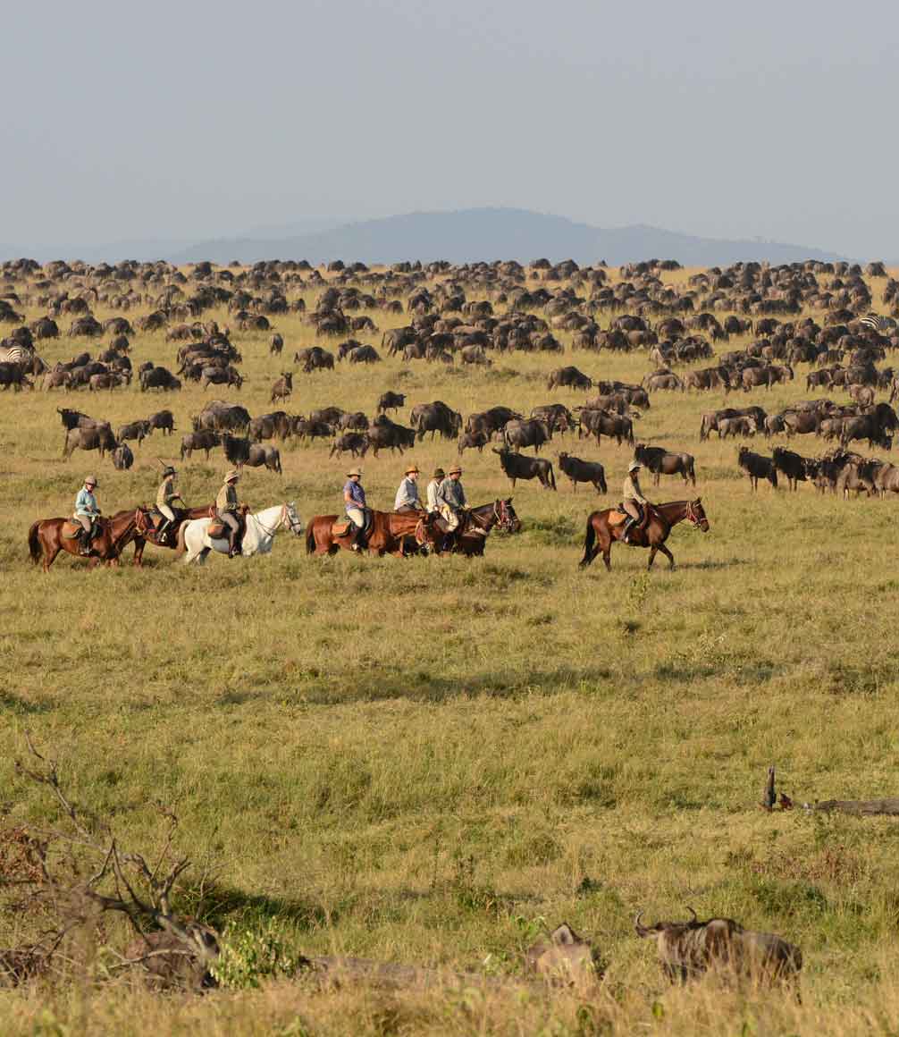 Riding safari with wildebeest migration in Kenya