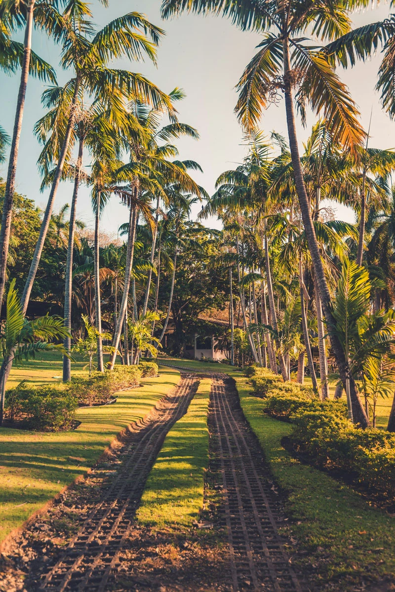 Luxury tours of Costa Rica