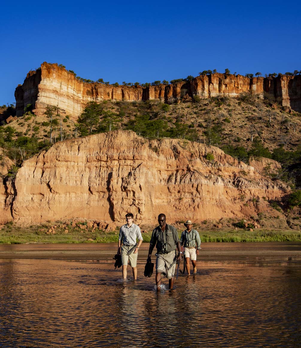 walking safari zimbabwe with private guide