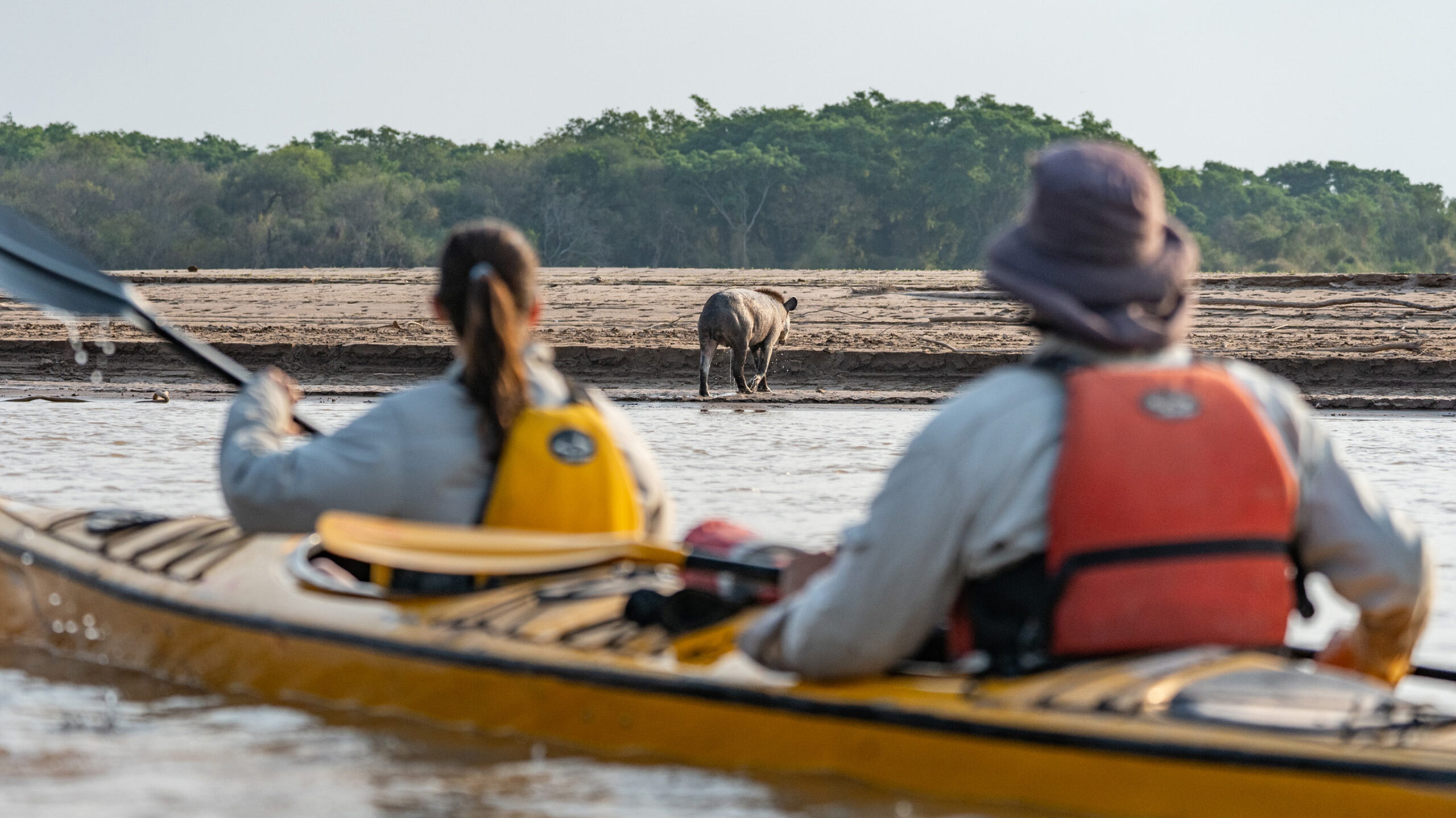 kayaking in Argentina's impenetrable national park