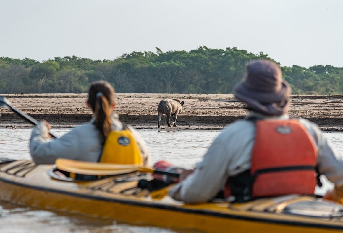 kayaking in Argentina's impenetrable national park